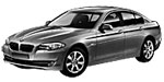 BMW F10 U213U Fault Code